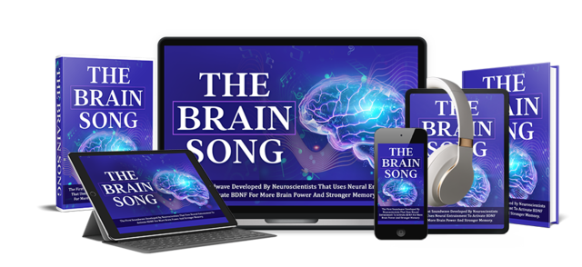 The Brain Song Product